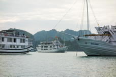 Three tour boats in one view