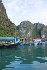 Scene in Floating Village