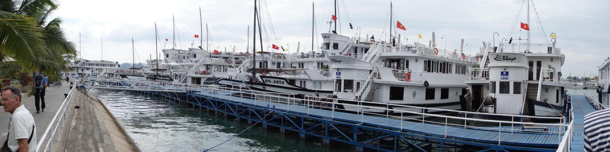 wide shot of many boats along the dock