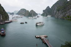 many boats in a harbor, from above