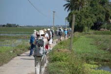 Tourists, strung out along the trail like ducklings