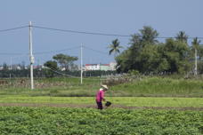 farmer, watering