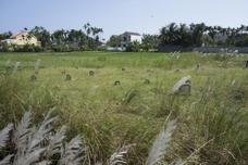 grave markers