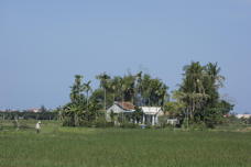 farmer in field