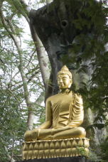 a Buddha on a hill