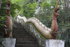 here, the stairs are flanked by imposing Nāgas