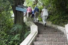 the group walks up more stairs