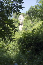 sheer cliff seen through a break in vegetation