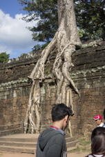 More roots, climbing down a wall