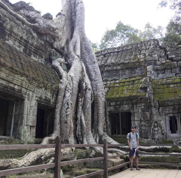 building partly overwhelmed by fig roots