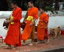 two young monks, one even younger, and a dog