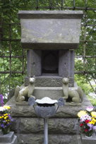 shrine guarded by foxes