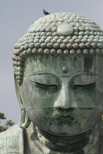 face to face with the Buddha
