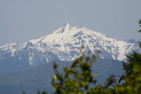 japanese Alps, II