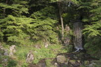 A really nice semi-hidden waterfall