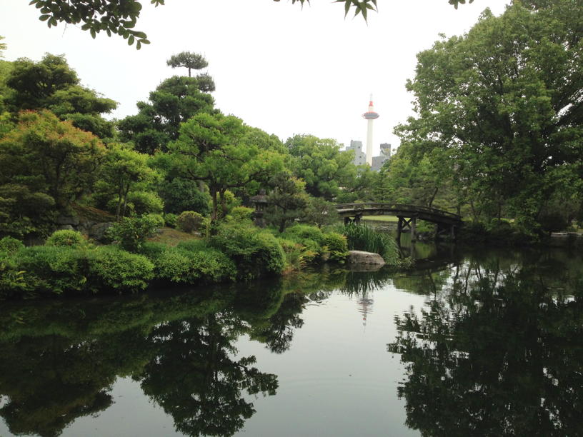 pretty pond scene