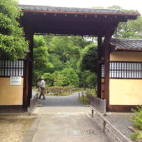 Gate witin garden