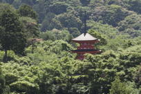 Forest-bound temple