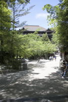 The temple from a distance