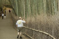 Mark among bamboos again