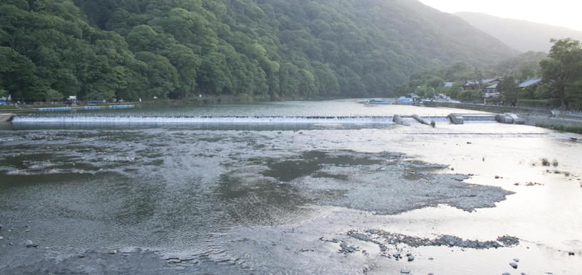 Shallow dam, from bridge