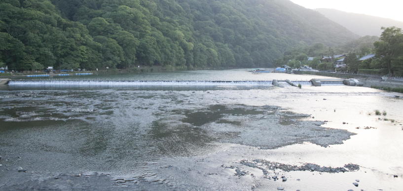 Shallow dam, from bridge