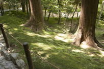 Gardens at GinKaku-ji, II