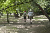 walking in shade