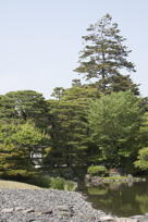 Garden I