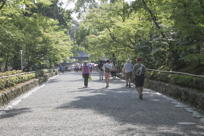 walking toward the temple