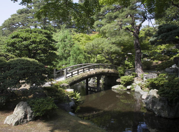 unusually beautiful garden scene