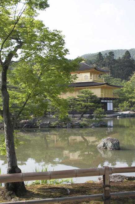 portrait-format picture of Kinkaku-ji
