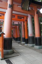 The tunnel of torii begins