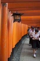 Tunnel of torii, I