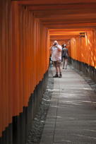 Tunnel of torii, II