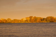 River illuminated by the setting sun, II