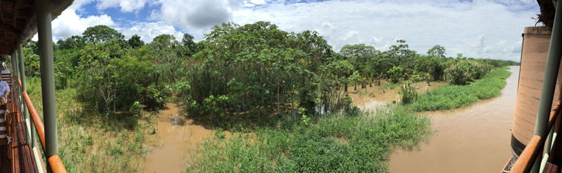 panorama of a muddy muddy river in full spate