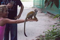 monkey climbing on young girl’s arm