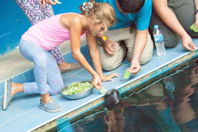 girl feeds manatee