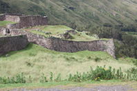 stone wall with green background