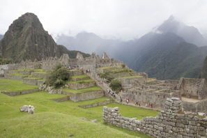 at Machu Picchu