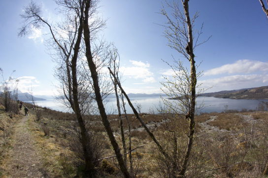 View of bay, III