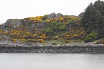 Mark watches the harbor of Raasay