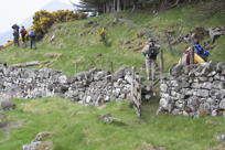 going through a sheep gate