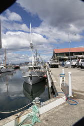 Hobart harbor