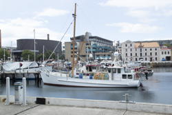 harbor, V
