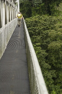 Mark walks across the bridge