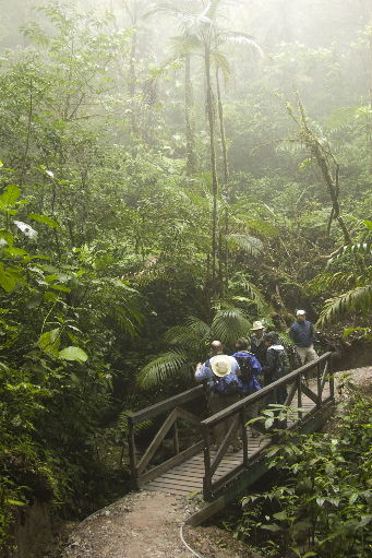 The group rests on a bridge