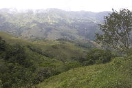 Long green view