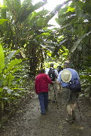 The group walks